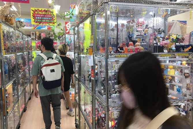 Private Akihabara Anime Guided Walking Tour - Inclusions