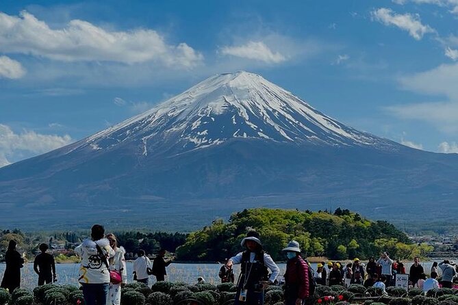 Private Day Tour in Mount Fuji With English Speaking Driver - Pricing and Reservation