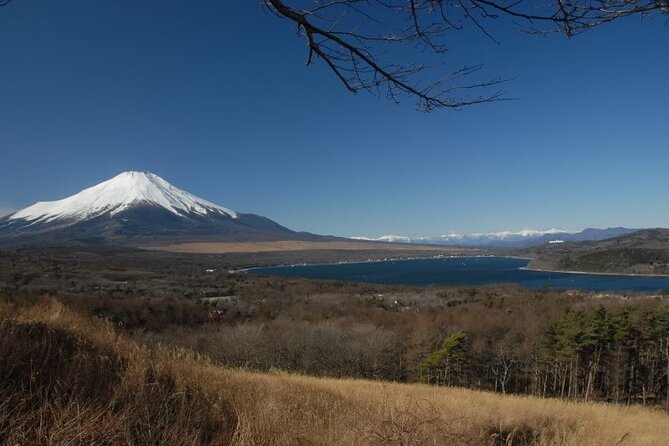 Private Full-Day Guided Tour in Mount Fuji Lakes - Tour Inclusions