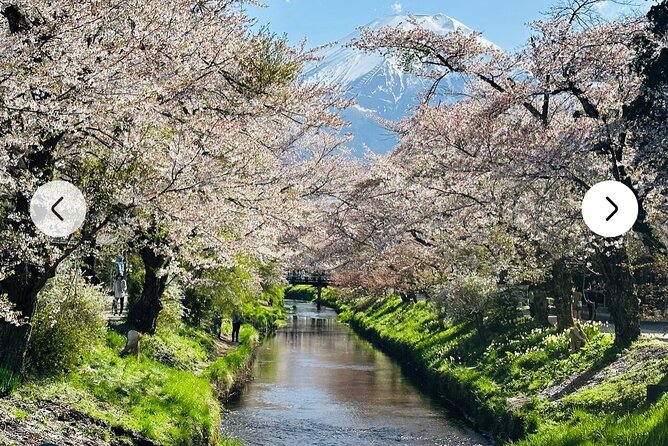 Private Full-Day Mt Fuji Hakone Tour English Driver Guide by Car