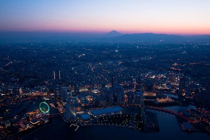 Private Helicopter Tour to See Mt Fuji or Tokyo Tower - Passenger Information