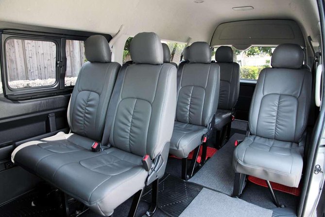 Private Hiace Hire in Kansai Area Osaka English Speaking Driver - Service Overview