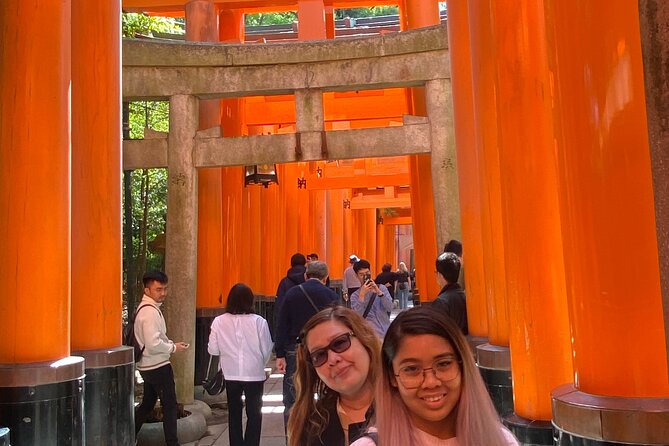 Private Kyoto Day Tour From Osaka - Itinerary Overview