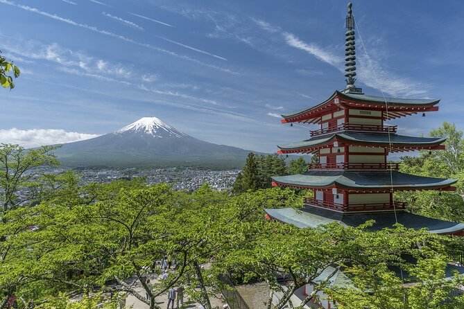 Private Mount Fuji Tour - up to 9 Travelers - Pickup and Drop-off Details