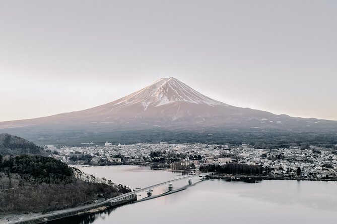 Private Mt Fuji, Hakone and Tokyo Tour With Bilingual Chauffeur - Pickup and Drop-off Information