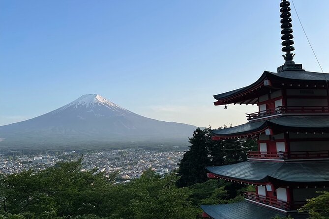Private Tour in Mt Fuji and Hakone With English Speaking Driver - Pick-up and Drop-off Services
