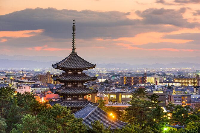 Private Tour to Nara From Osaka With English Speaking Driver - Tour Details