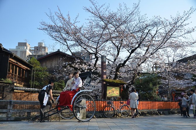 Private & Unique Kyoto Cherry Blossom "Sakura" Experience - Sakura Experience Details