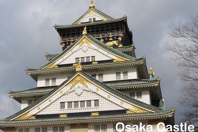 Private Walking Day Tour in Osaka With English / Chinese Speaking Guide - Tour Highlights