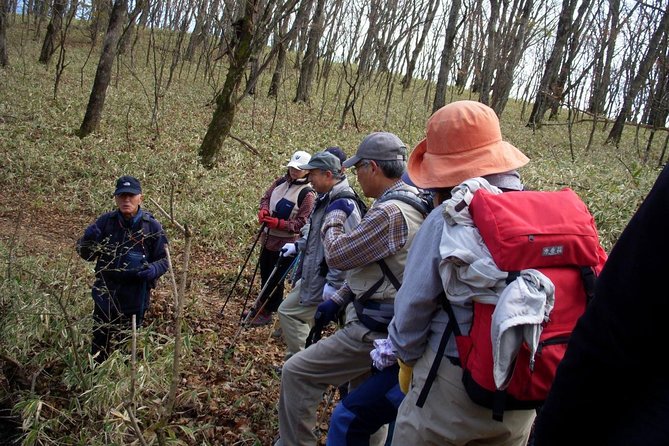 Relax and Refresh in Karuizawa Forest! Shinanoji Down Trekking Around Two People - Reservation and Cancellation Policy