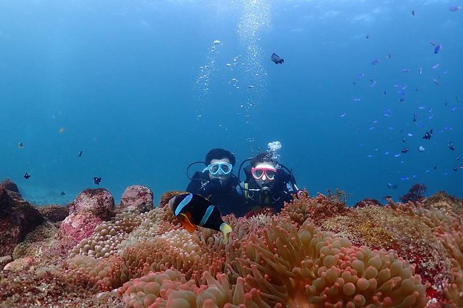 Scuba Diving & Snorkeling - Booking Details for Scuba Diving & Snorkeling
