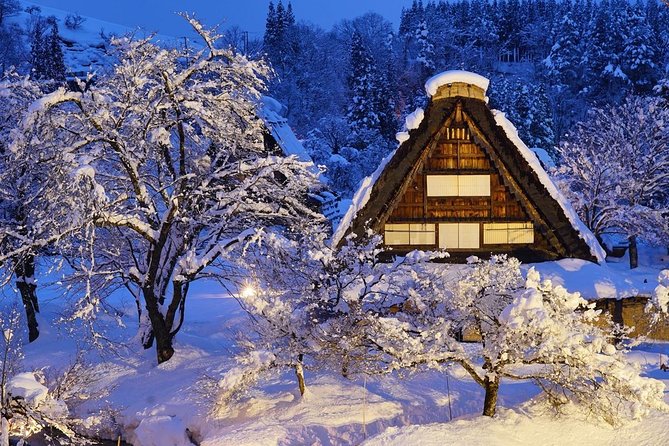 Shirakawago All Must-Sees Private Chauffeur Tour With a Driver (Takayama Dep.) - Pricing and Booking