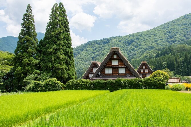 Shirakawago & Gokayama Ainokura Tour - World Heritage Villages - Tour Highlights