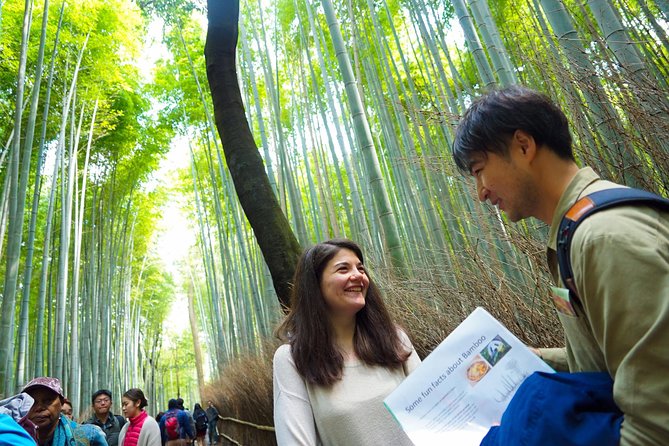 Small-Group Walking Tour With Kyoto-Style Lunch, Arashiyama - Immerse Yourself in Kyotos Timeless Culture