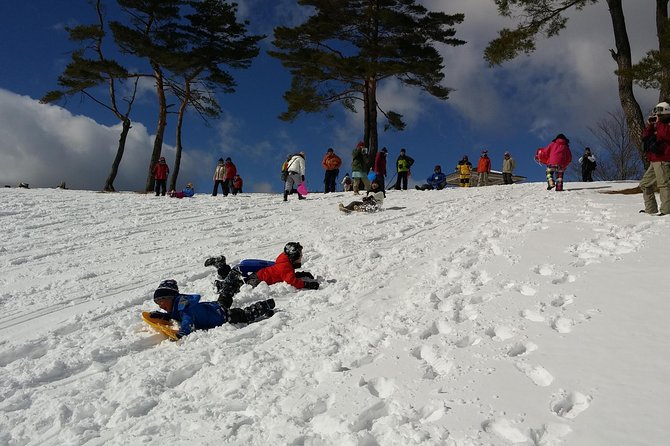 -Snow Mountain Hiking at the Foot of Asama- Karuizawa Snowshoe Tour - Tour Overview