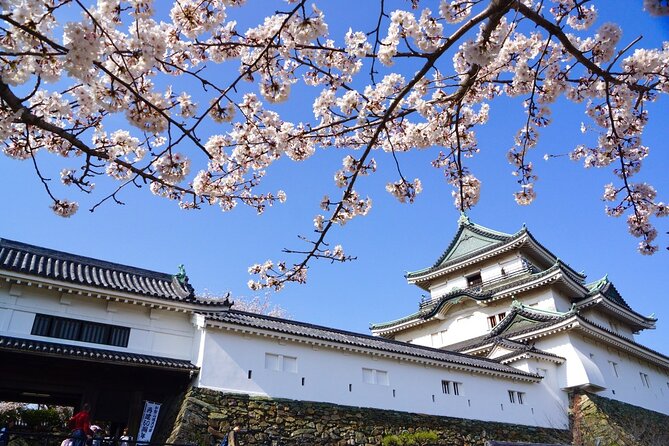 The Best of Wakayama City Private Tour - Experiencing Wakayama Castle and Its Castle Town