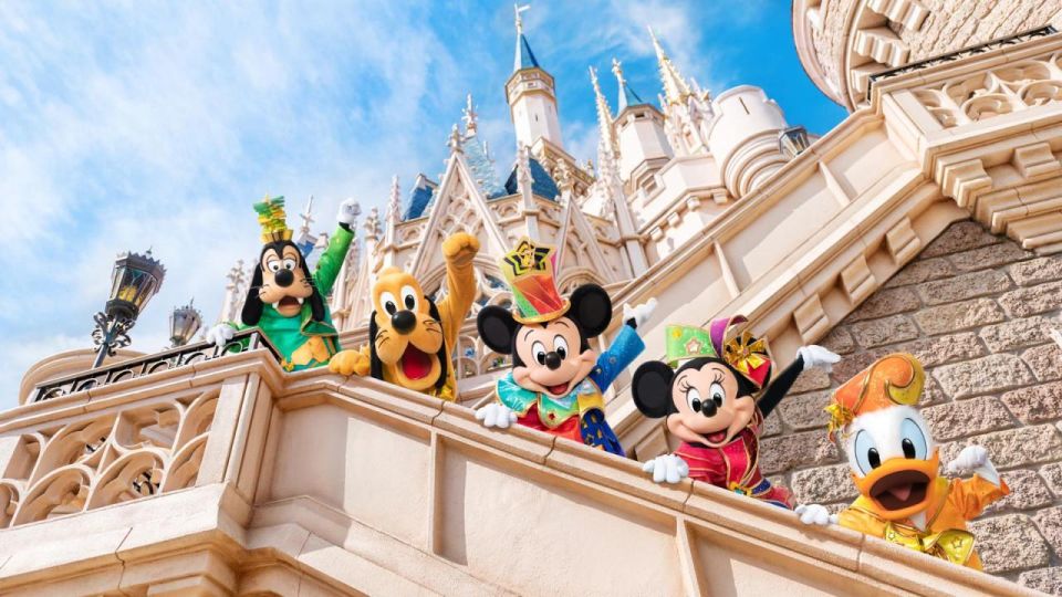 Tokyo Disneyland/DisneySea Entry Pass & Shared Transfer - Activity Details
