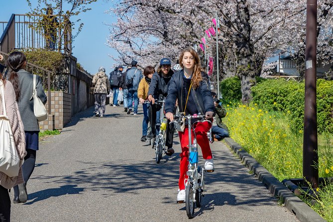Tokyo Downtown Cycling Tour (Short Course) - Tour Inclusions