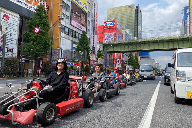 Tokyo Go-Kart Rental With Local Guide From Akihabara