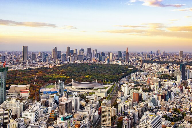 Tokyo Layover Tour With Licensed Guide:Narita Airport Dep - Narita Airport Pick-up
