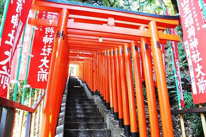 Tokyo off the Beaten Path 6hr Private Tour With Licensed Guide - Tour Overview and Inclusions