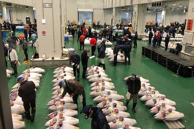 Toyosu and Tsukiji Morning Market With Government Licensed Guide