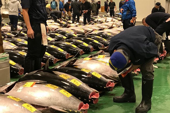 Tuna Auction and Market Tour at Activity Maison Kissako - Overview and Whats Included