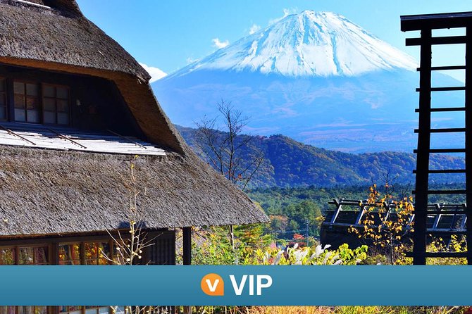 VIP: Mt Fuji Private Tour With Sengen Shrine Visit From Tokyo - Tour Details and Highlights