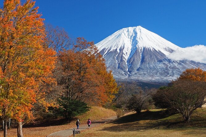 Virtual Tour to Discover Mount Fuji - Shizuoka: A 15-minute Introduction