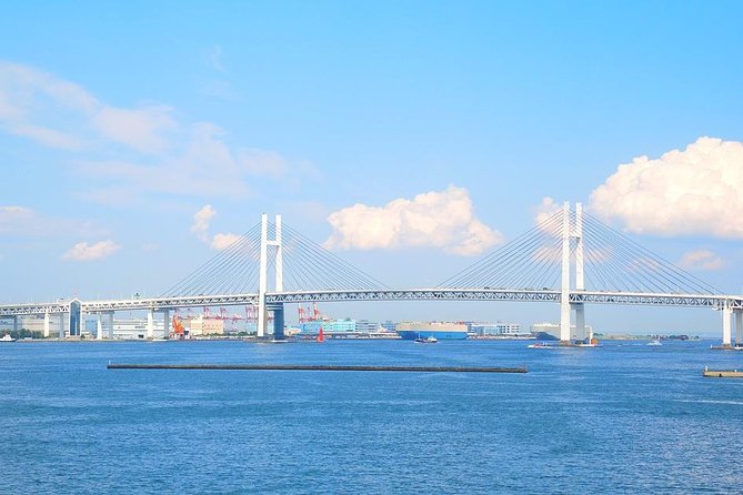 Yokohama Port Shared Transfer : From Narita Airport to Yokohama Port - Service Details for Yokohama Port Transfer