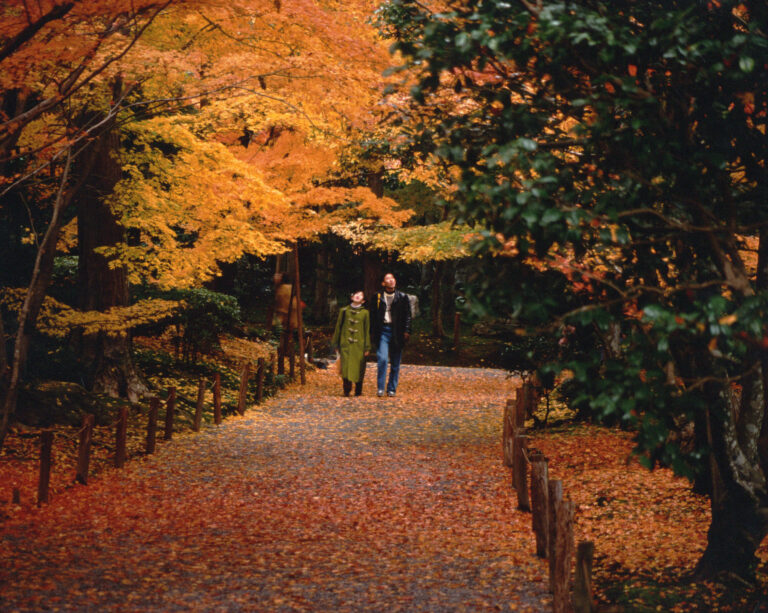 10 Beautiful Places for Autumn In Tokyo, Japan