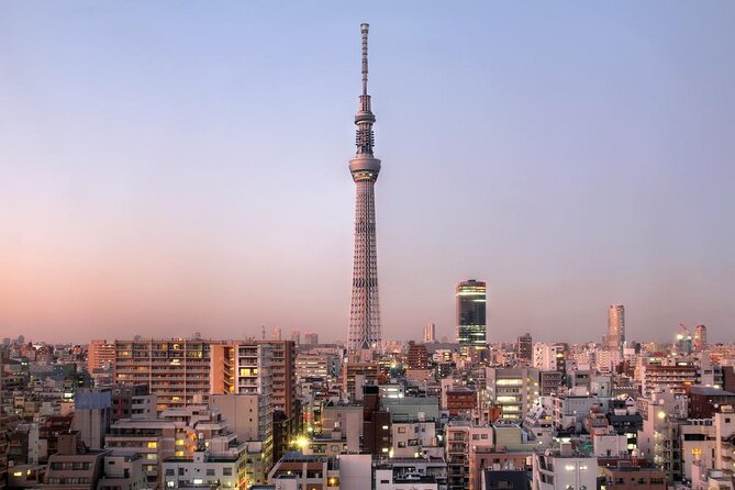 [22 Min]Tokyo City Lights Helicopter Tour : Skytreeasakusa - Quick Takeaways