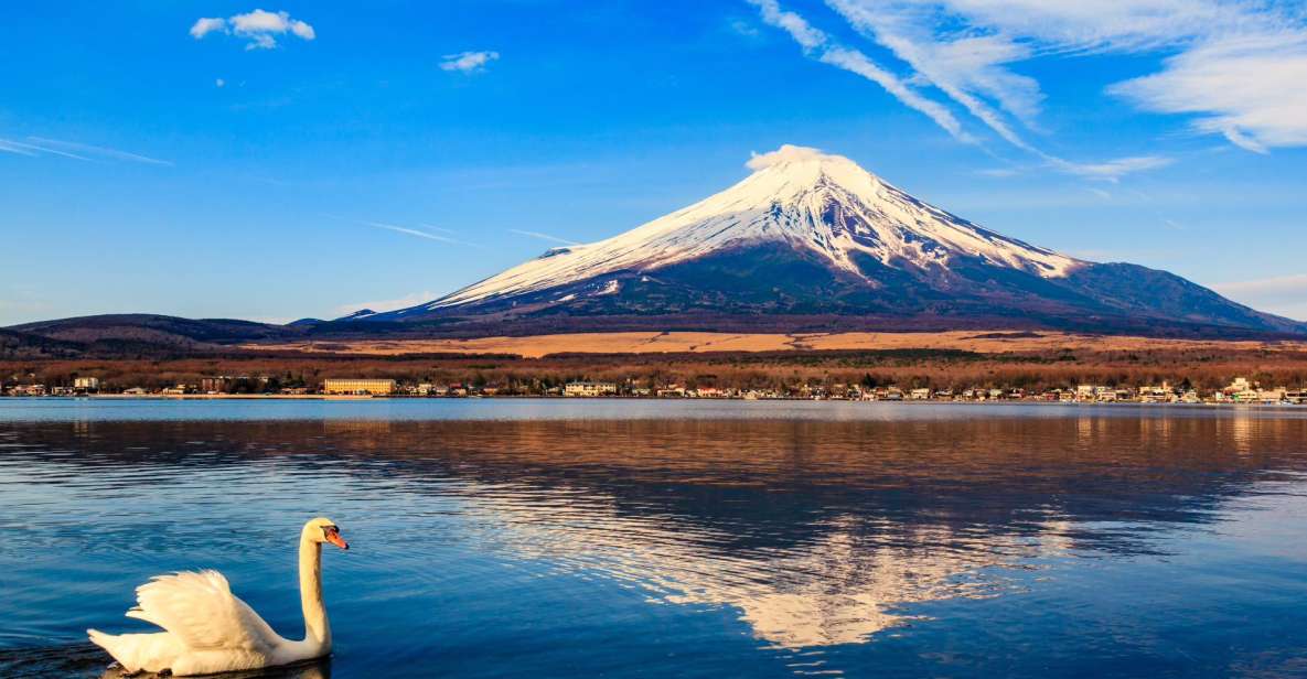 1-Day Trip: Mt Fuji Kawaguchi Lake Area - Highlights