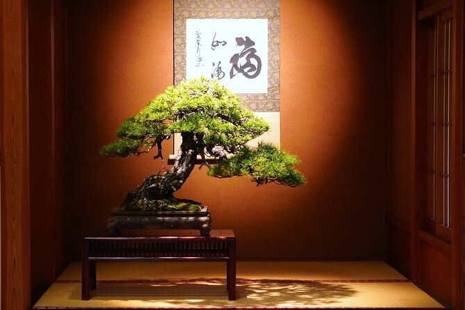 1Day-Bonsai & Sencha Tea Experience: Pastime of the Literati - Itinerary for the Day
