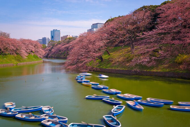 2 Day Mount Fuji and Tokyo Tour by Private Car or Wagon - Private Car or Wagon Options