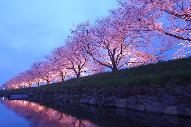 4 Hour Private Cherry Blossom "Sakura" Experience in Nagasaki - Highlights of the Nagasaki Cherry Blossom Tour