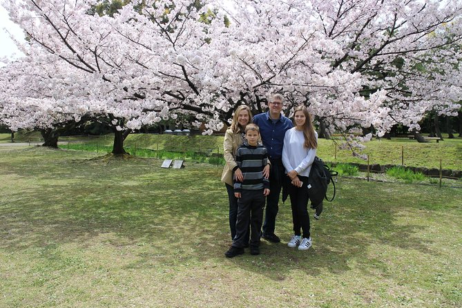 6-Hour Tokyo Tour With a Qualified Tour Guide Using Public Transport - Public Transport Options and Benefits