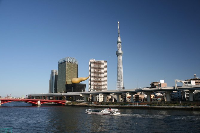 8-Hour Tokyo Tour by Qualified Tour Guide Using Public Transport - Public Transport Guide