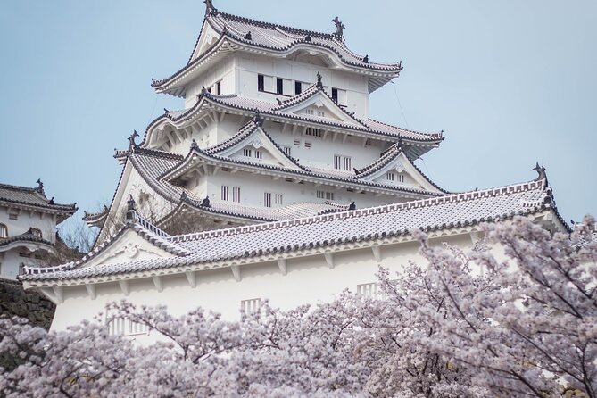 9-Day Japan and South Korea Highlight Tour - Osaka and Kyoto Delights