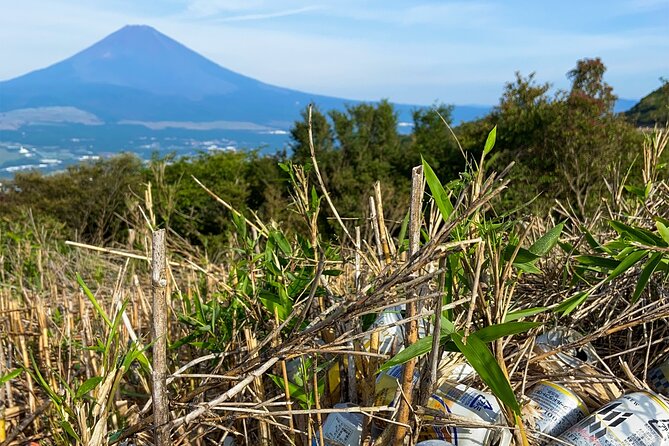 Aokigahara Nature Conservation Full-Day Hiking Tour - Traveler Photos and Reviews