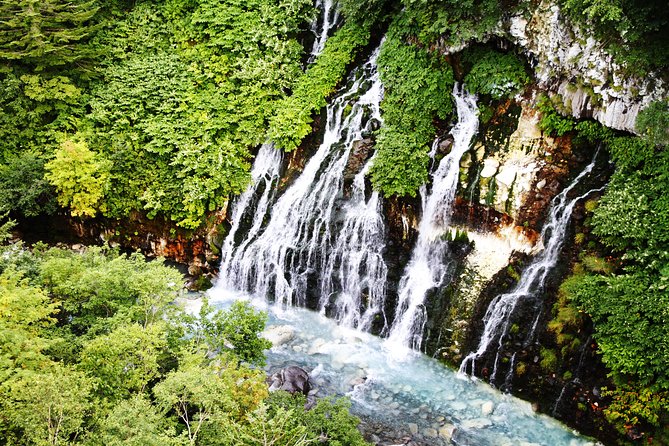Asahiyama Zoo, Blue Pond, Shirahige Falls, Ningle Terrace (from Sapporo) - Discovering the Beauty of Shirahige Falls