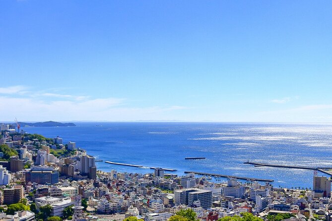 Atami Half-Day Private Tour With Government-Licensed Guide - Inclusions