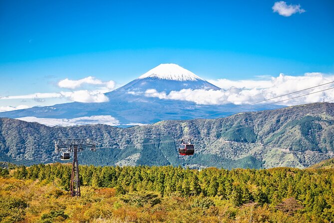 Best Mt Fuji and Hakone Full-Day Bus Tour From Tokyo - Transportation and Pick-up Details