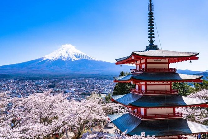 Cherry Blossom ! Five-Story Pagoda,Mt. Fuji 5th Station,Panoramic Ropeway - Cancellation Policy and Reviews