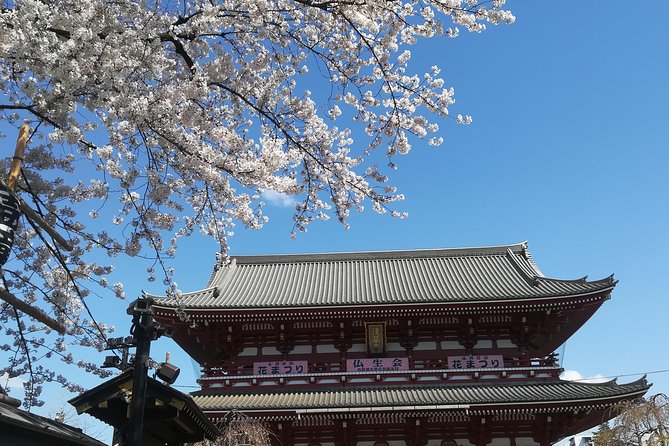 Cherry Blossom Highlights, Asakusa, Ueno & Meiji Shrine - Ueno Park: A Cherry Blossom Wonderland
