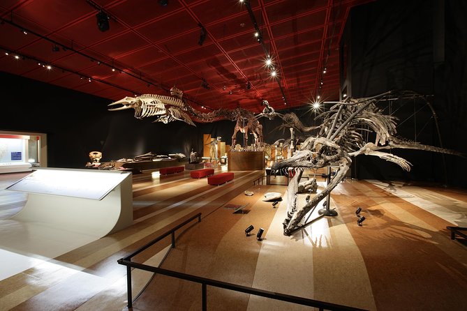 Coal & Fossil Museum Admission Ticket - Reviews