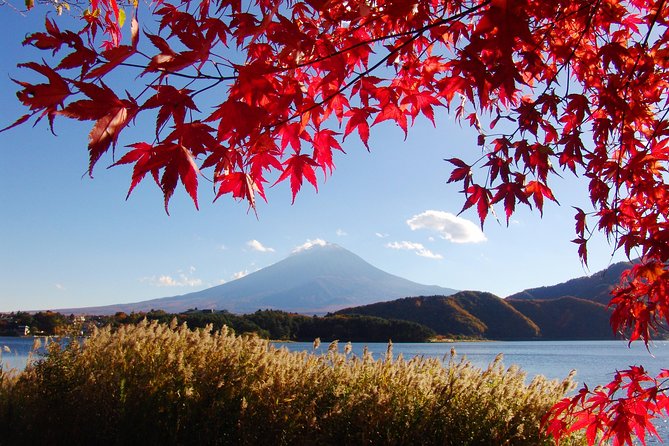 Day Trip to Mt. Fuji, Kawaguchiko and Mt. Fuji Panoramic Ropeway - Meeting and Pickup Details