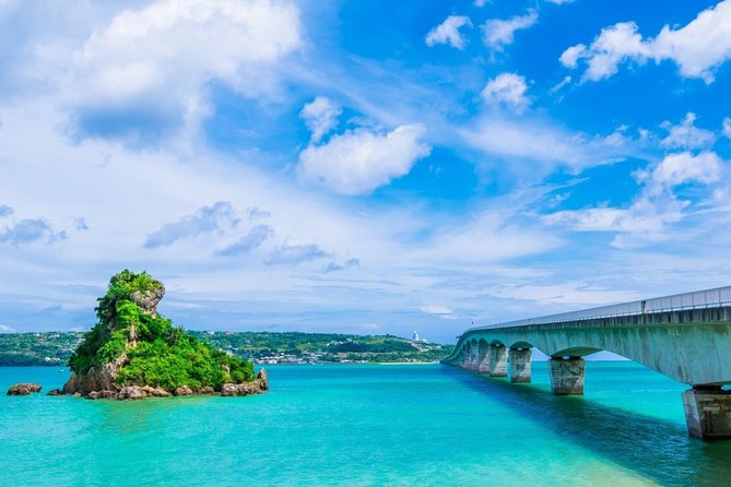Explore Okinawa With Private Lexus Car Hire With Simple English Driver - Freedom to Choose Attractions