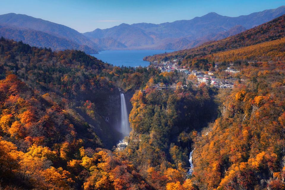 From Tokyo: Private Trip to Nikko and Lake Chuzenji - Experience Highlights