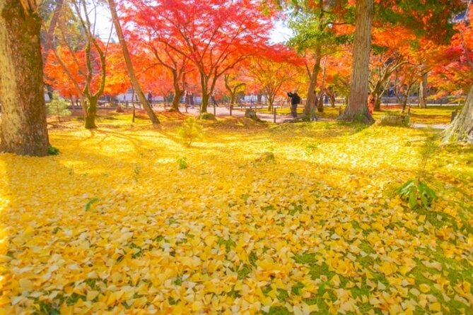 Full Day Hidden Kyotogenic for Autumn Tour in Kyoto - Autumn Activities
